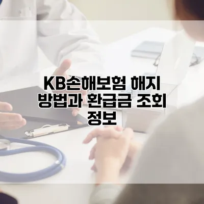 KB손해보험 해지 방법과 환급금 조회 정보