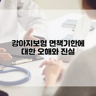 강아지보험 면책기한에 대한 오해와 진실