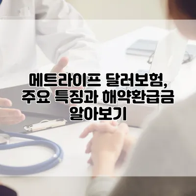 메트라이프 달러보험, 주요 특징과 해약환급금 알아보기