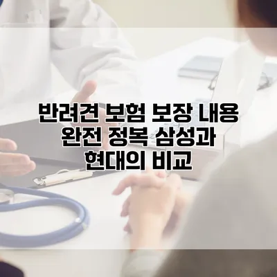 반려견 보험 보장 내용 완전 정복 삼성과 현대의 비교