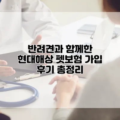 반려견과 함께한 현대해상 펫보험 가입 후기 총정리