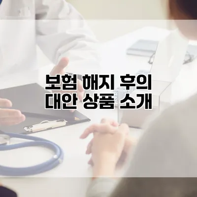 보험 해지 후의 대안 상품 소개