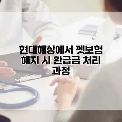 현대해상에서 펫보험 해지 시 환급금 처리 과정