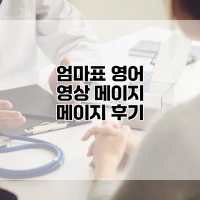 엄마표 영어 영상 메이지 메이지 후기