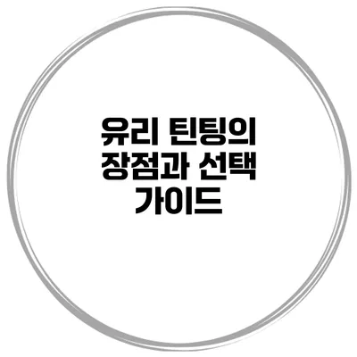 유리 틴팅의 장점과 선택 가이드